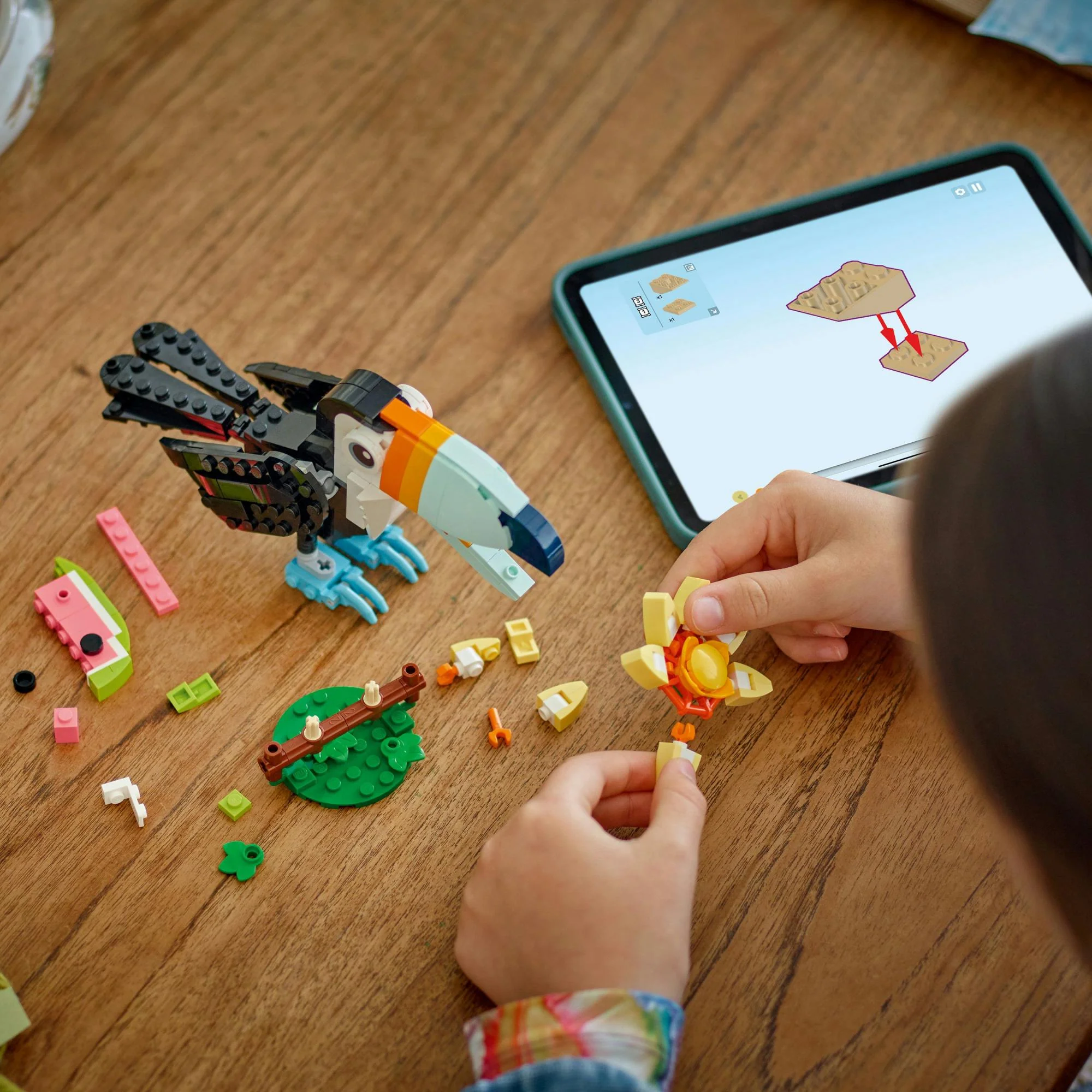 LEGO Creator – Vilde Dyr: Tropisk Tukan