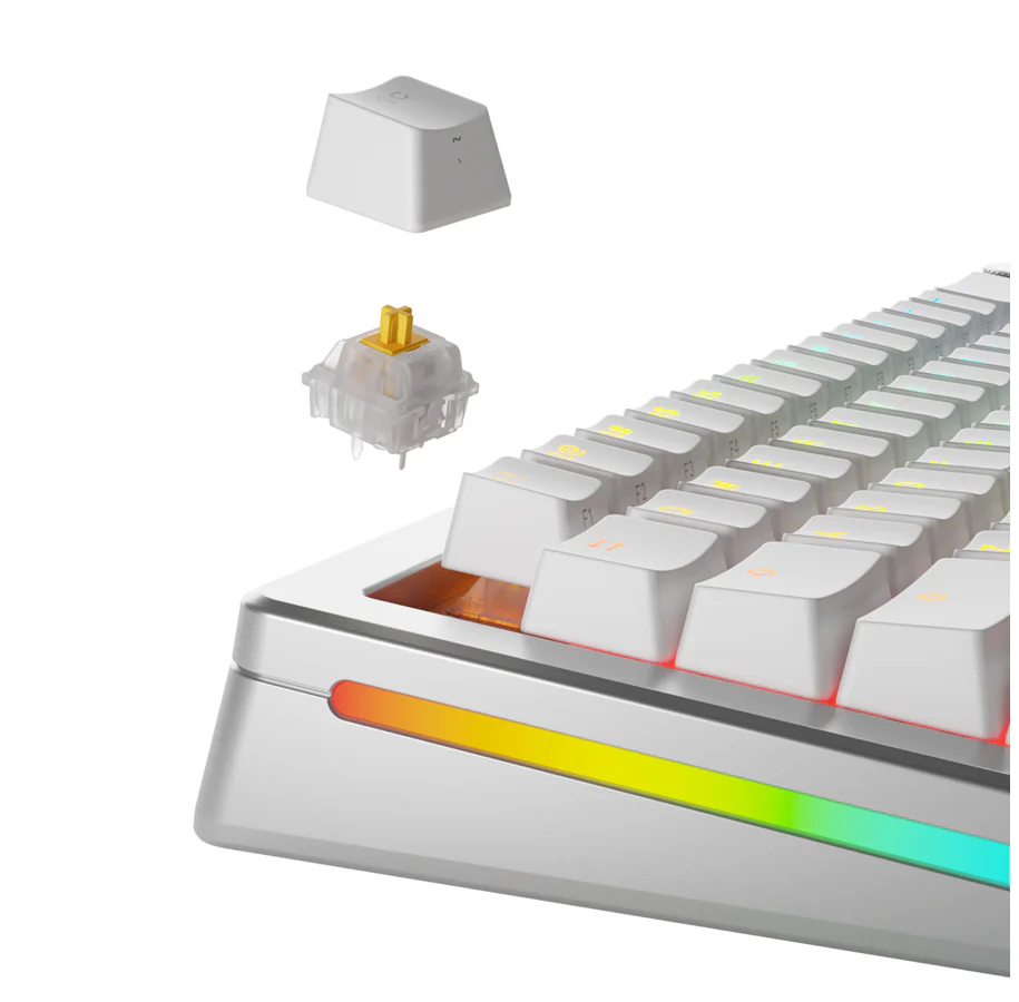 Glorious Mekaniske Switches (36 stk) - Panda Silent - [Taktil] 50g